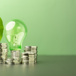 Kelsem Ricardo Rios Lima explica o que é economia verde e como ela impulsiona o desenvolvimento sustentável sem abrir mão do crescimento.