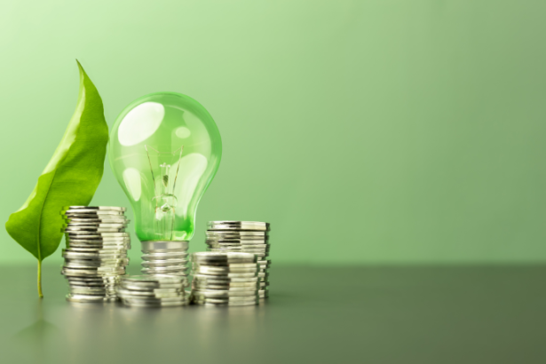 Kelsem Ricardo Rios Lima explica o que é economia verde e como ela impulsiona o desenvolvimento sustentável sem abrir mão do crescimento.