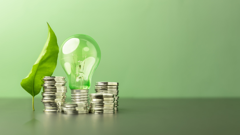 Kelsem Ricardo Rios Lima explica o que é economia verde e como ela impulsiona o desenvolvimento sustentável sem abrir mão do crescimento.