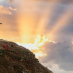 Jose Eduardo De Oliveira e Silva reflete sobre o papel da família cristã como fundamento moral e espiritual na sociedade moderna.