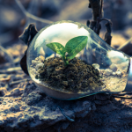 Inovação ambiental no aterro sanitário de Tangará da Serra e seus impactos positivos