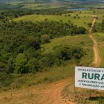 O Impacto da Regularização Fundiária Rural no Desenvolvimento Econômico e na Preservação Ambiental