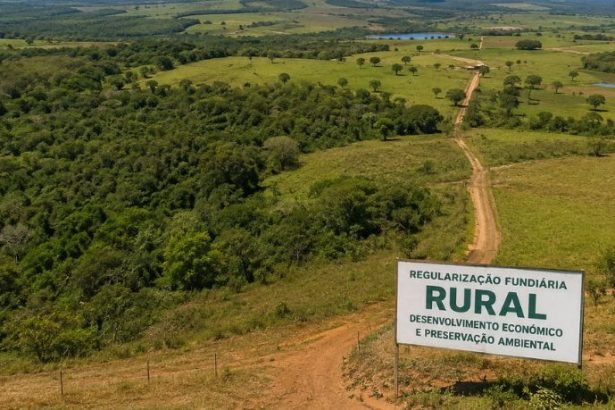 O Impacto da Regularização Fundiária Rural no Desenvolvimento Econômico e na Preservação Ambiental