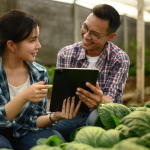 Agricultura de precisão fortalece o agronegócio em Tangará da Serra e amplia produtividade no campo