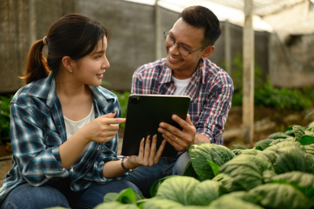 Agricultura de precisão fortalece o agronegócio em Tangará da Serra e amplia produtividade no campo