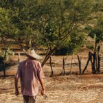 Trabalhador rural caminha por um campo seco em uma área agrícola no Brasil.
