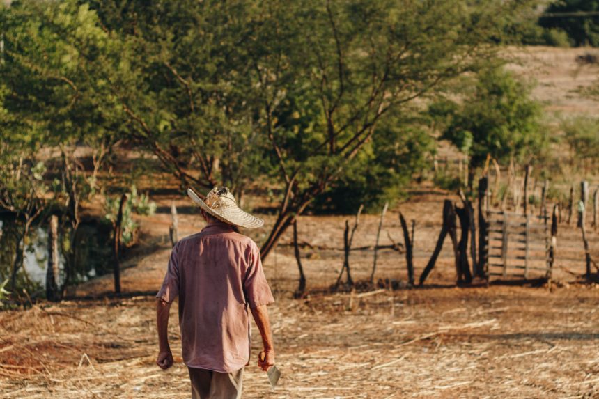 Trabalhador rural caminha por um campo seco em uma área agrícola no Brasil.