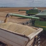 Colheitadeiras carregam soja em um caminhão durante a colheita em um campo agrícola no Brasil.