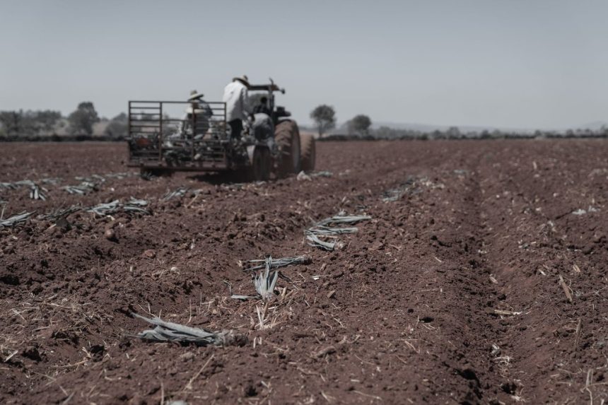 Agricultores trabalham em um trator preparando o solo de uma área rural para o próximo plantio.