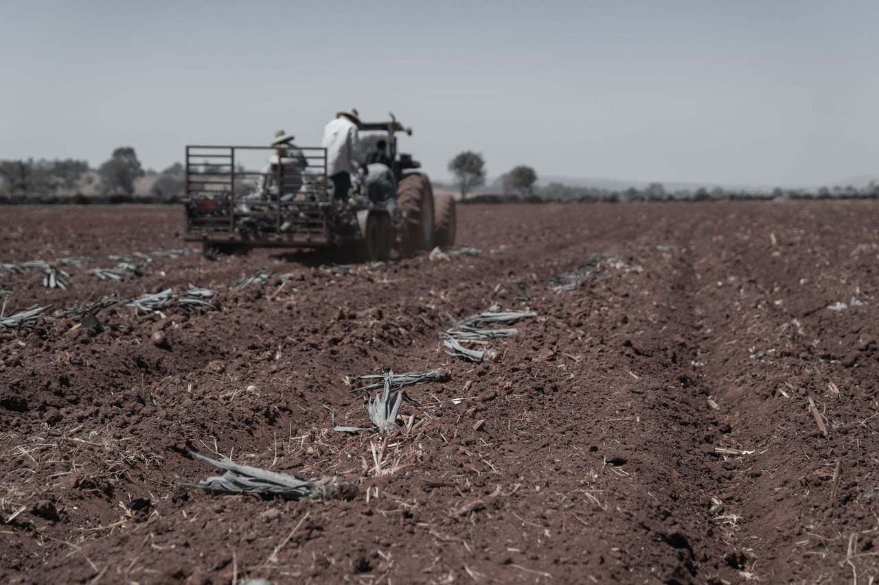 Agricultores trabalham em um trator preparando o solo de uma área rural para o próximo plantio.
