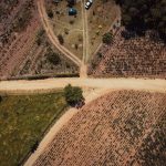 Vista aérea de estradas de terra e áreas agrícolas entre campos rurais em Tubarão, Santa Catarina.
