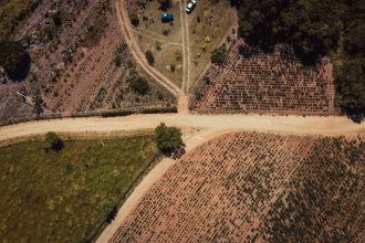 Vista aérea de estradas de terra e áreas agrícolas entre campos rurais em Tubarão, Santa Catarina.